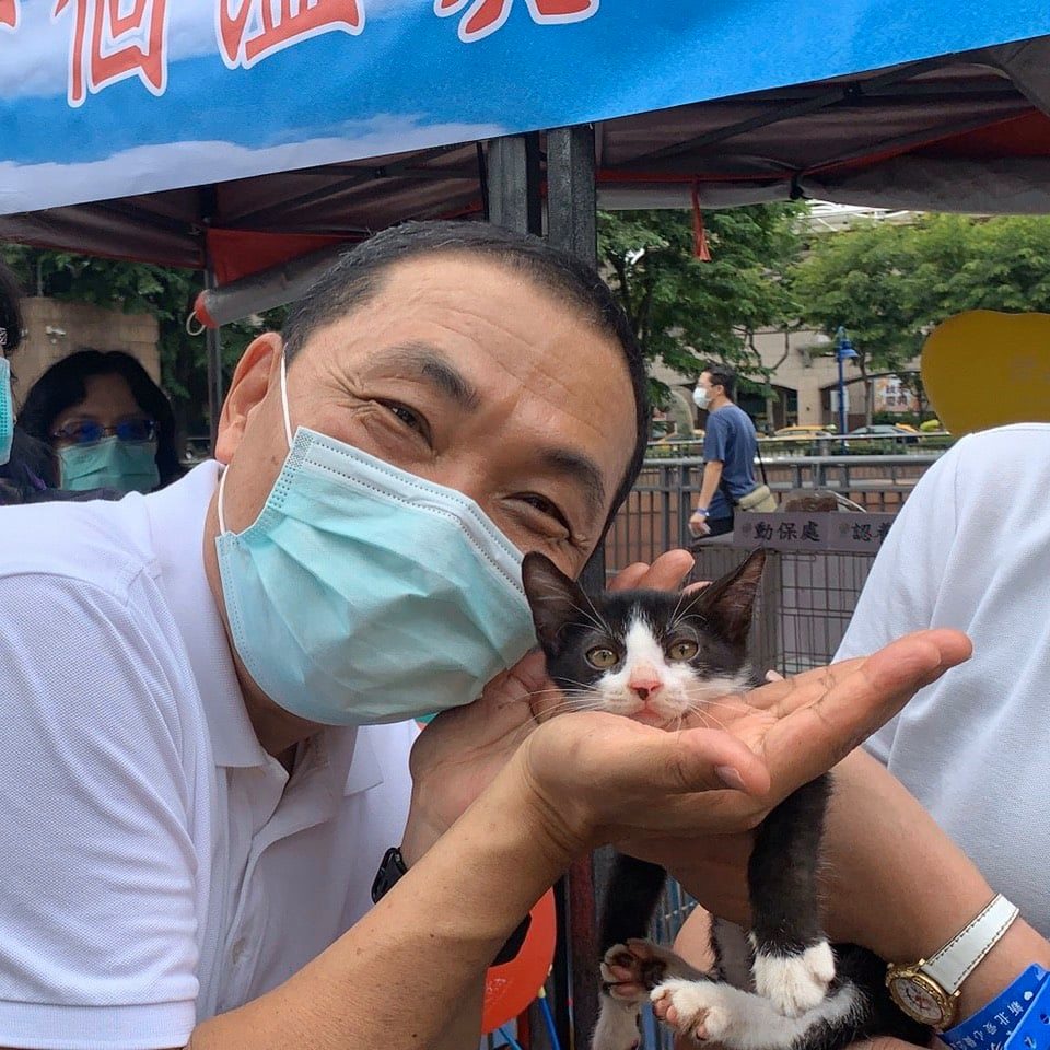 侯友宜為受虐貓茶茶發聲。圖為侯友宜日前參加動保處領養活動，巧遇的賓士貓，非茶茶。（翻攝自侯友宜臉書）