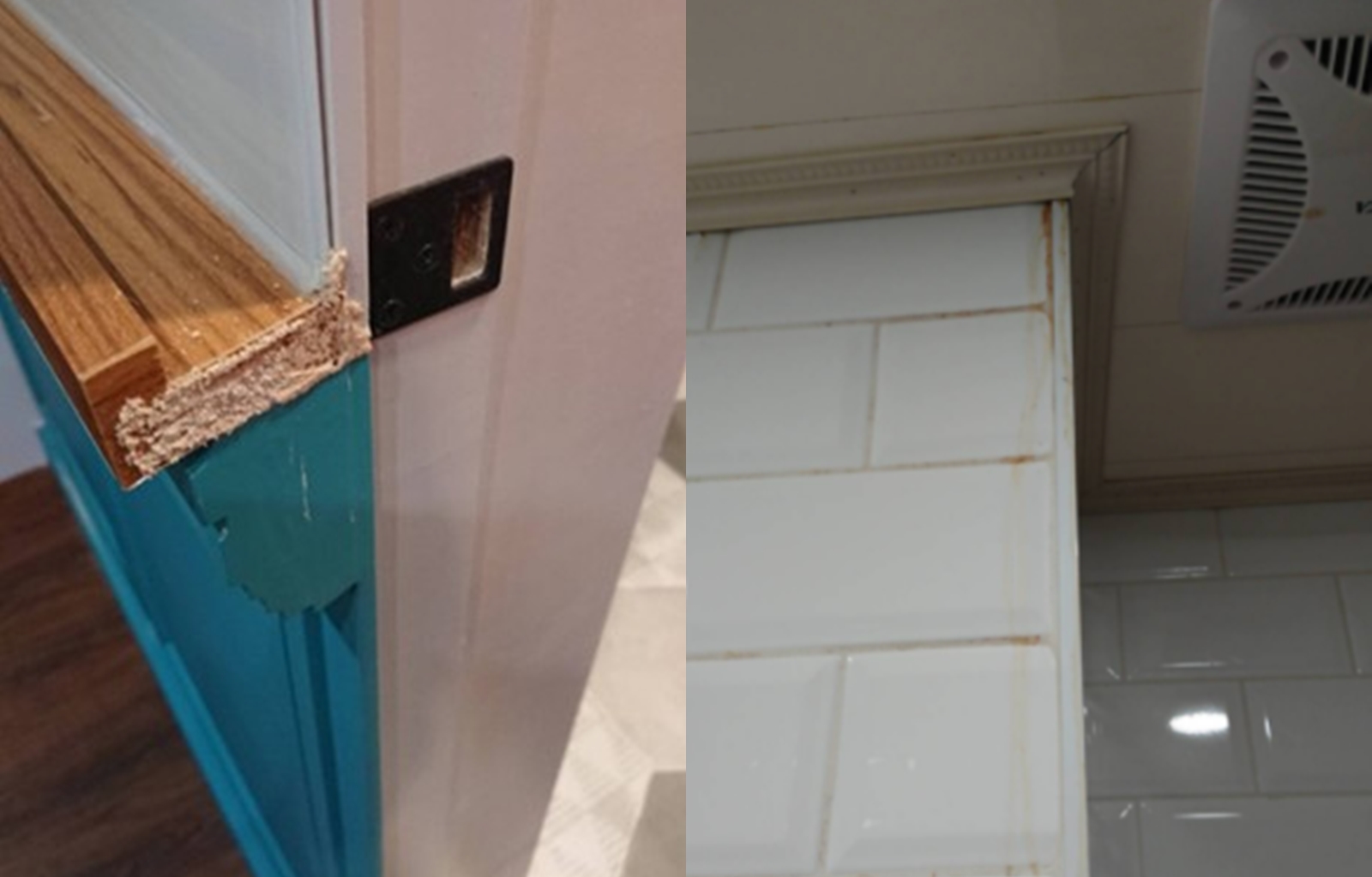 投訴人C先生出示照片，指控剛完成的百萬裝潢就遭蟲蛀，浴廁牆壁上出現漏水的水漬。（讀者提供）