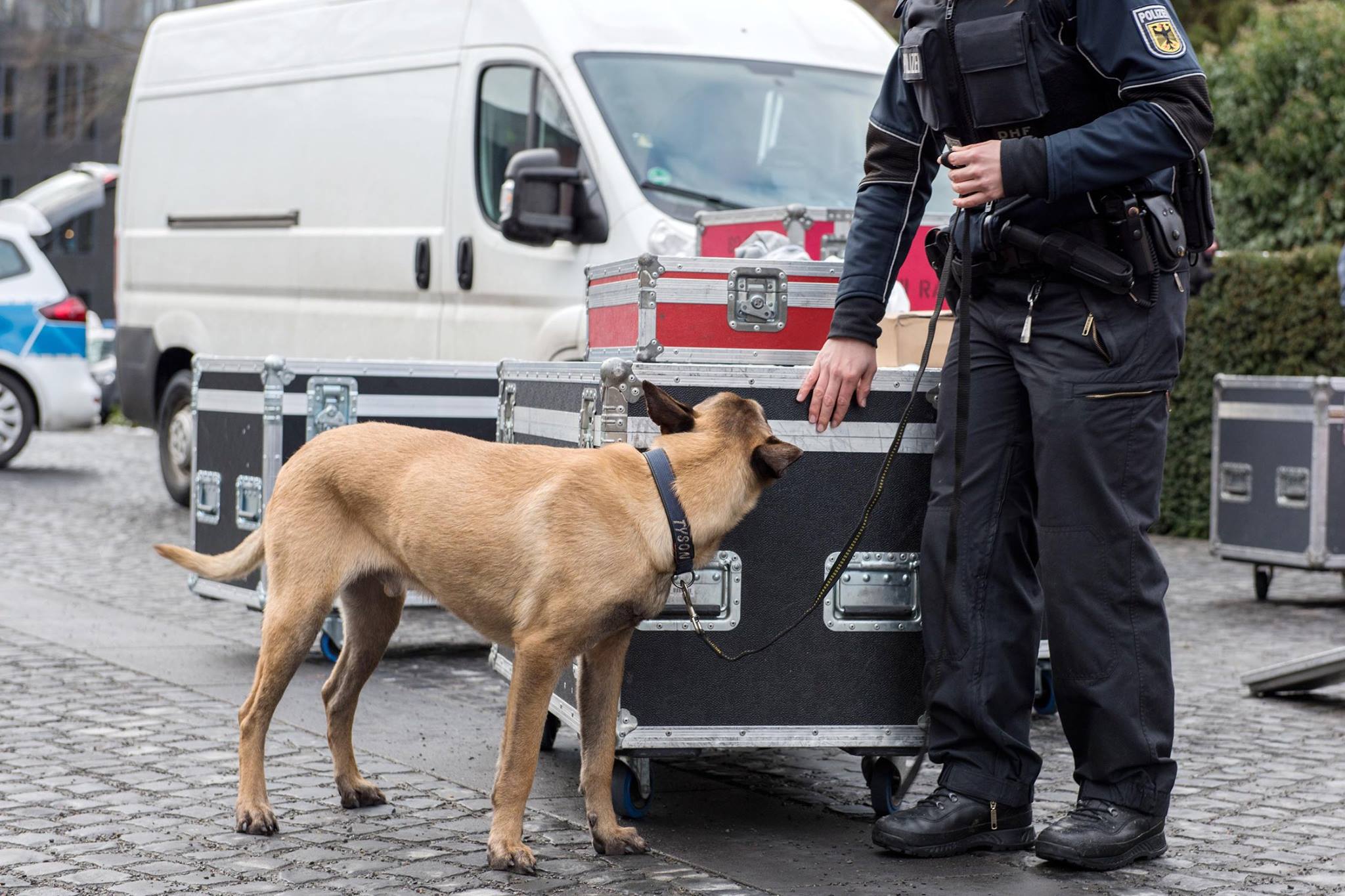 德國警方出動警犬，在教師斯特凡家中查獲大量血跡反應。（示意圖，翻攝德國柏林警局網站）