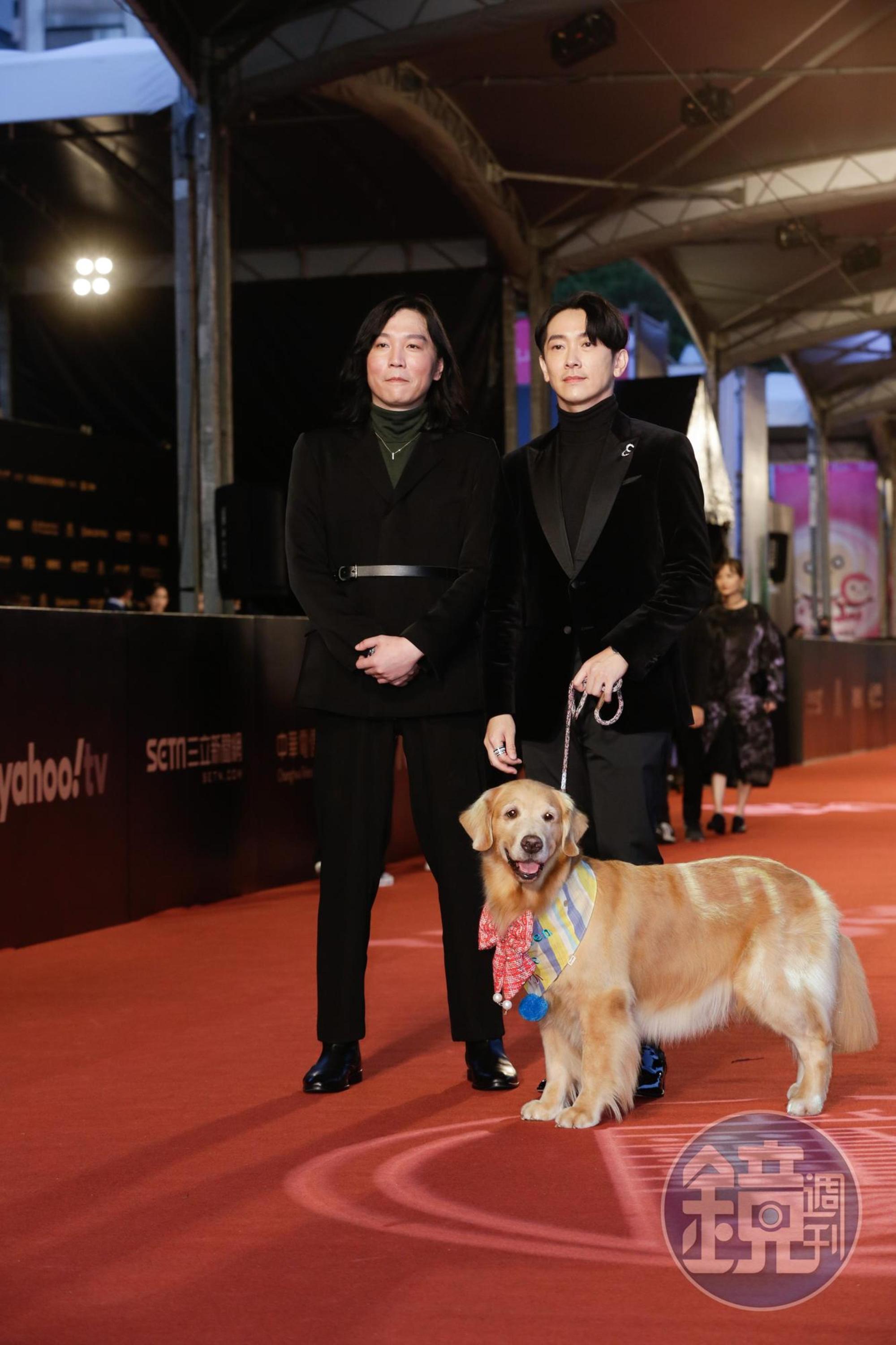 施名帥帶著愛犬走星光大道。