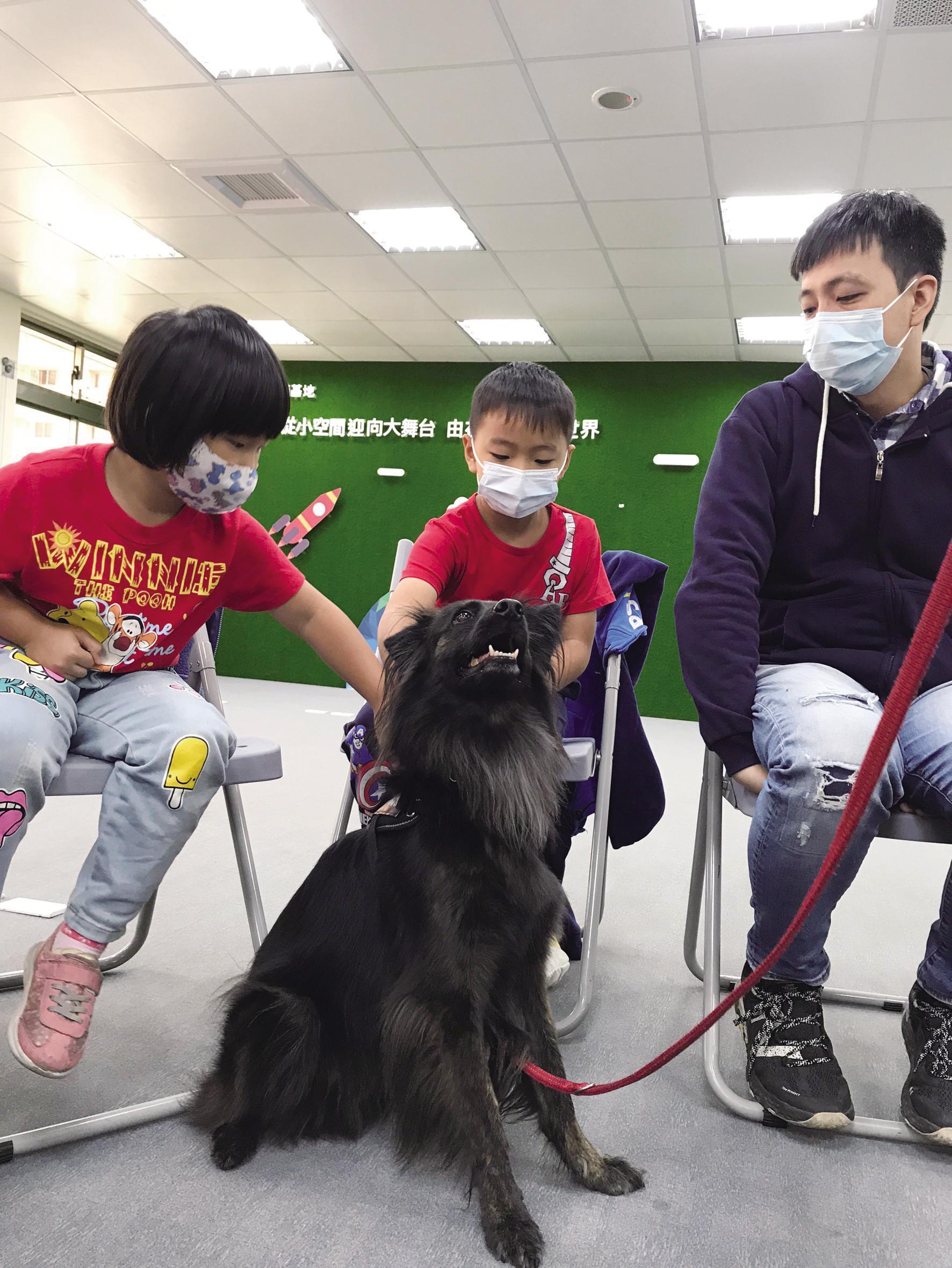想和撫慰人心的「狗老師」相伴，需要先用正確安全的方式建立熟悉感。