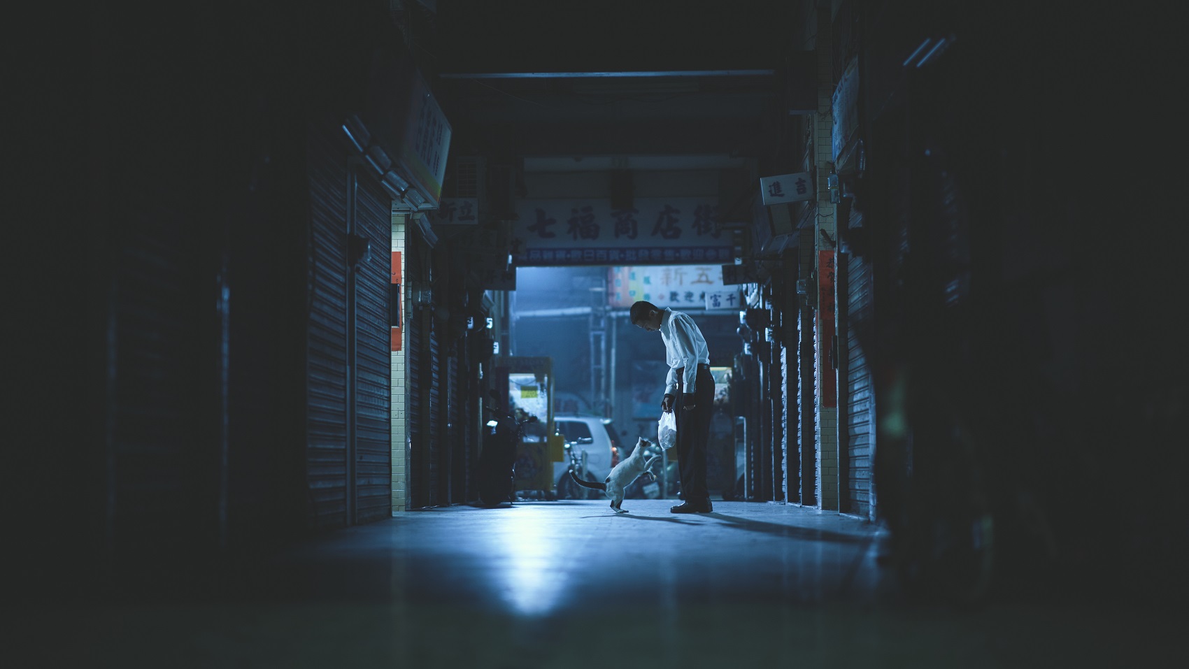 電影《鱷魚》裡柯震東與小貓有對手戲。（双喜電影提供）