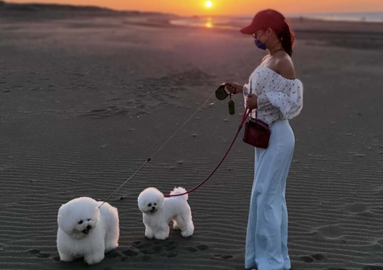 蔡依林帶著兩隻愛犬屋虎與社長到海邊散步放風。（翻攝自蔡依林IG）