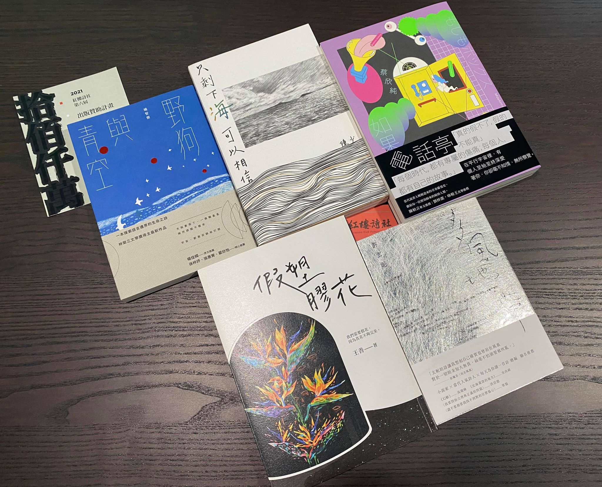 紅樓詩社主辦的「拾佰仟萬出版贊助計畫」歷年得主為許玄妮詩集《多風地帶》、王善《假塑膠花》、楊智傑詩集《野狗與青空》、陳少詩集《只剩下海可以相信》、蔡欣純小說集《如果電話亭》。