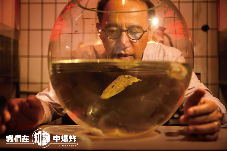 研究烏賊20多年的焦傳金,仍不斷地在探索著牠們非凡的心智。(鏡好聽提供)
