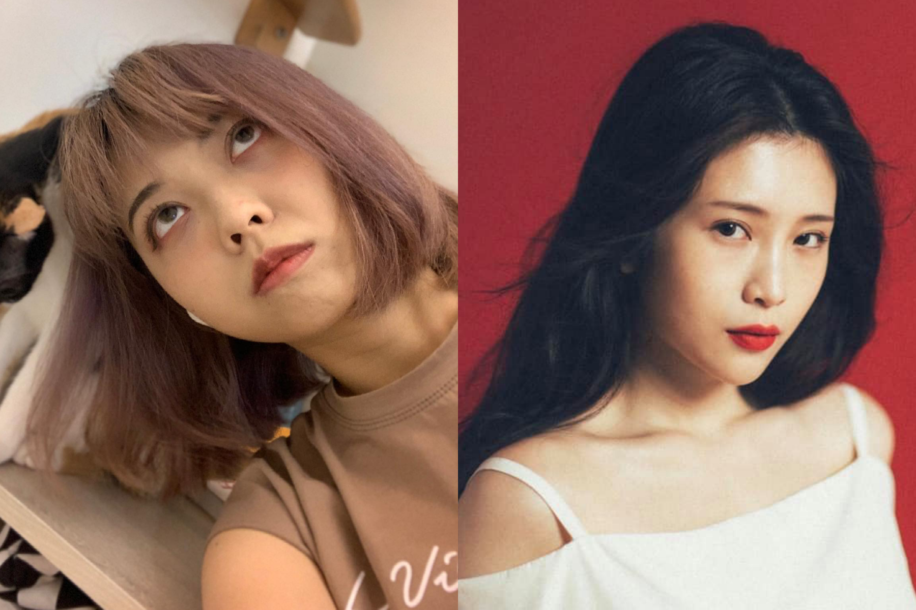 龍龍（左）7日遭到經紀公司解約，前同門藝人雞排妹（右）也開直播細數其罪狀。（翻攝自「龍龍的沒梗人生」、鄭家純臉書）