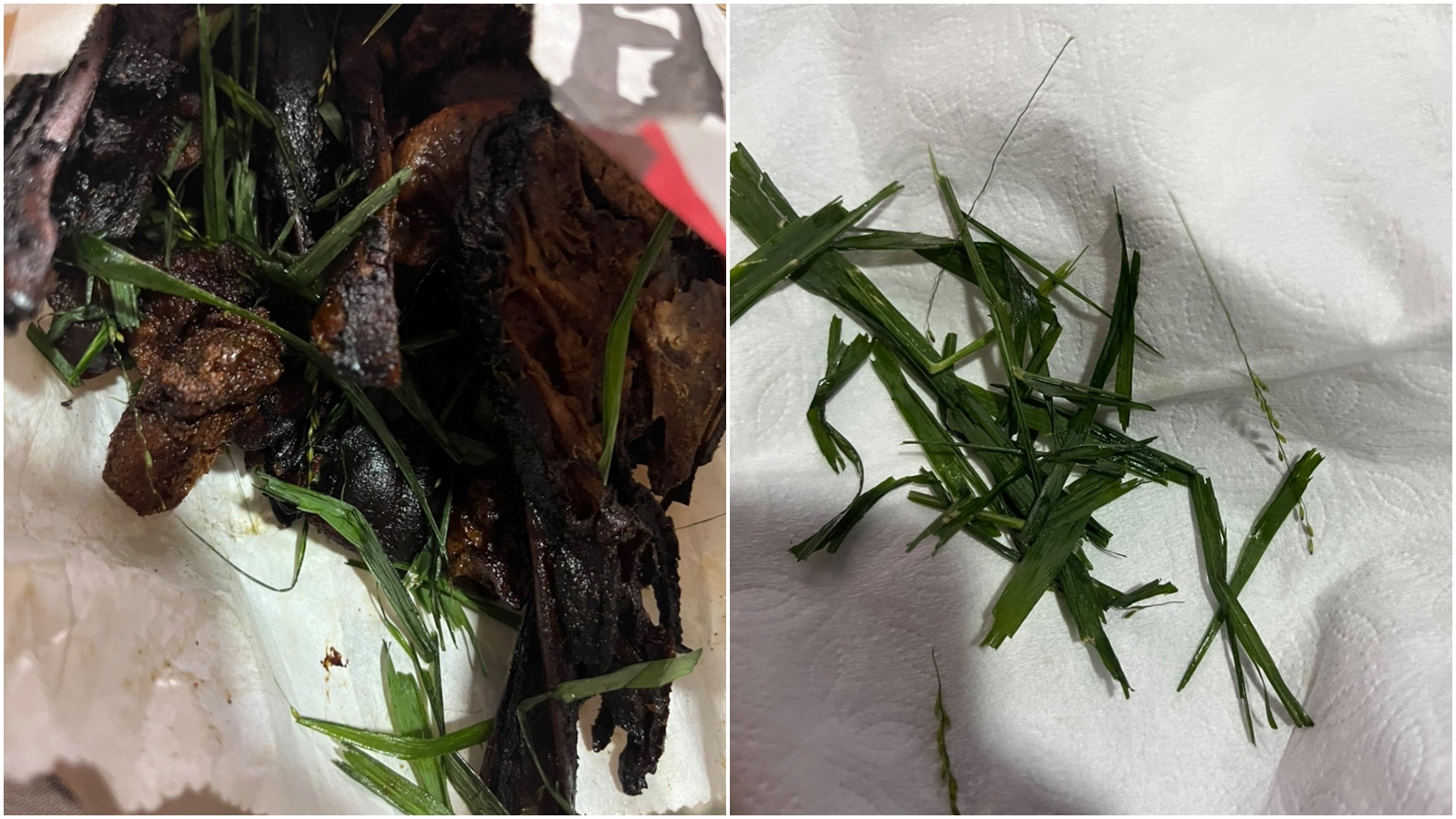 台中小吃店爆料遭到外送員惡搞，在做好的餐點中「加草」還誆騙客人「店家不衛生」。（翻攝自外送員的奇聞怪事臉書）