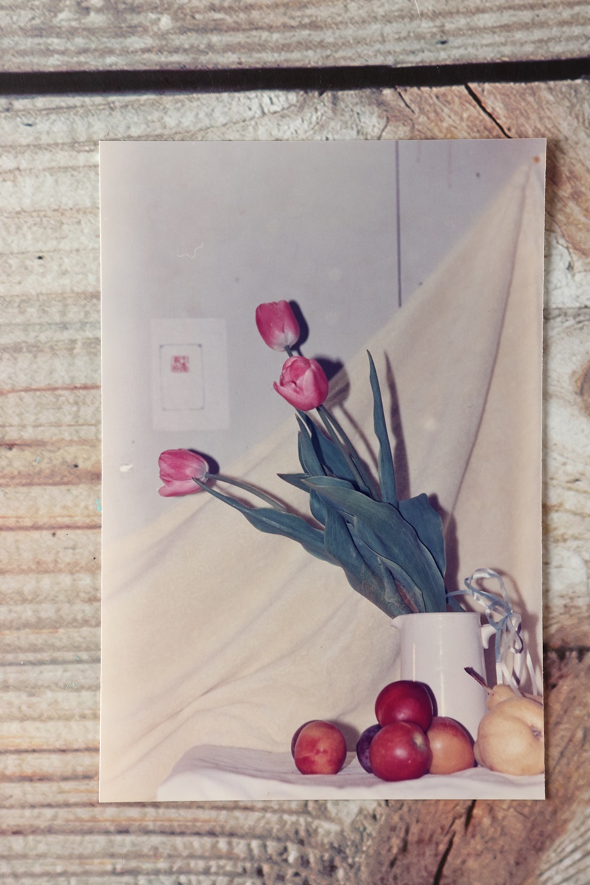 帶回船上的鬱金香。