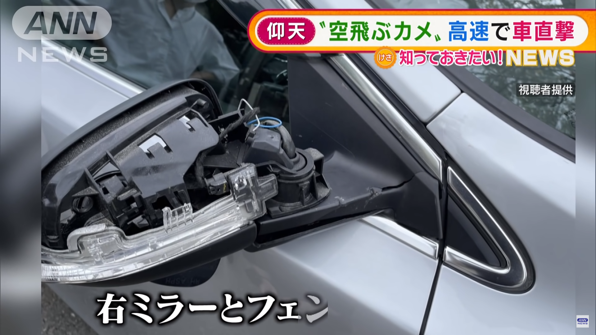 此次的「烏龜事故」導致駕駛汽車的右邊後照鏡及擋泥板損壞。(翻攝自「ANNnewsCH」YouTube)