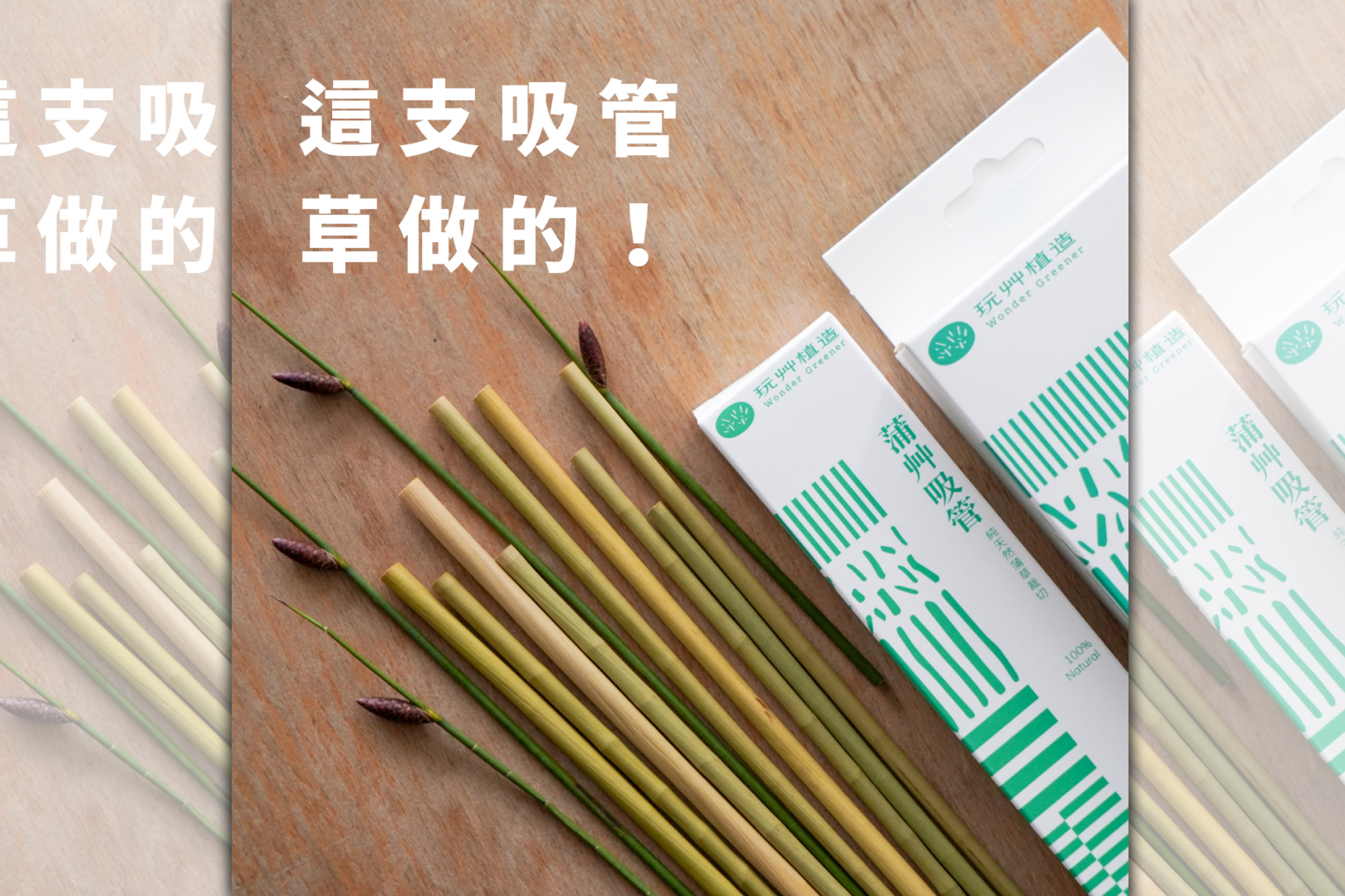 玩艸植造使用「蒲草」透過單純種植、清洗、裁切、風乾、包裝，是市面上唯一純天然環保吸管。（玩艸植造團隊提供）
