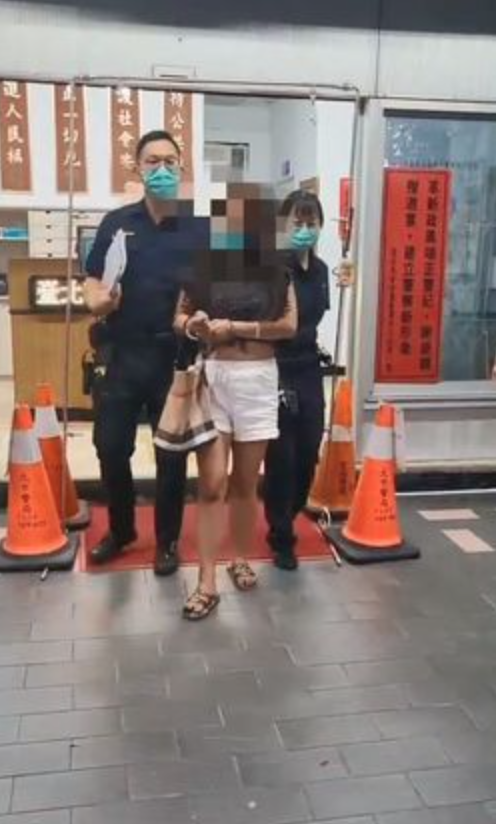 陳姓婦人遭警方移送法辦。(翻攝畫面)
