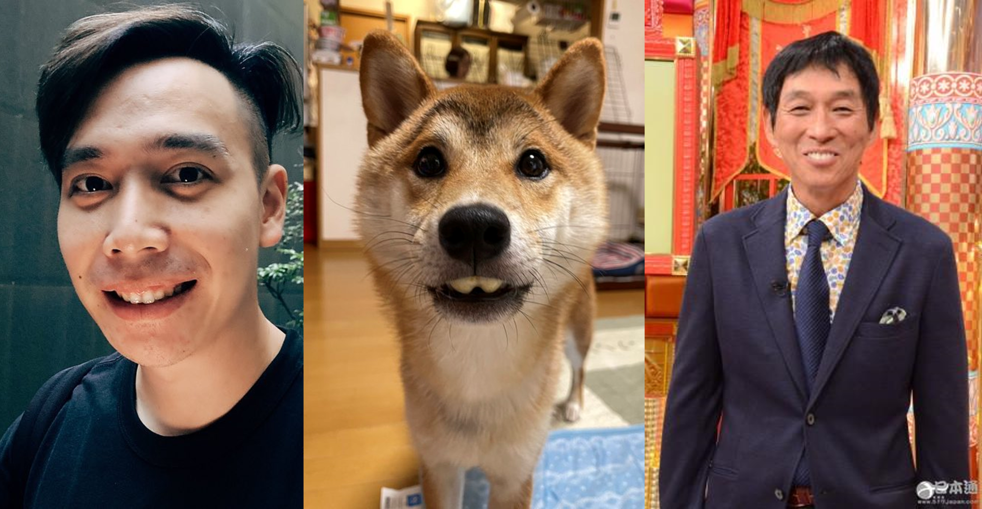 長出小暴牙的柴犬海苔,讓許多日本網友覺得很像知名主持人「明石家秋刀魚」(圖右),台灣網友則想到藝人無尊(圖左)。(圖片翻攝推特@ isobe0912/無尊IG@sonic_jeff0326/kknew日本通)