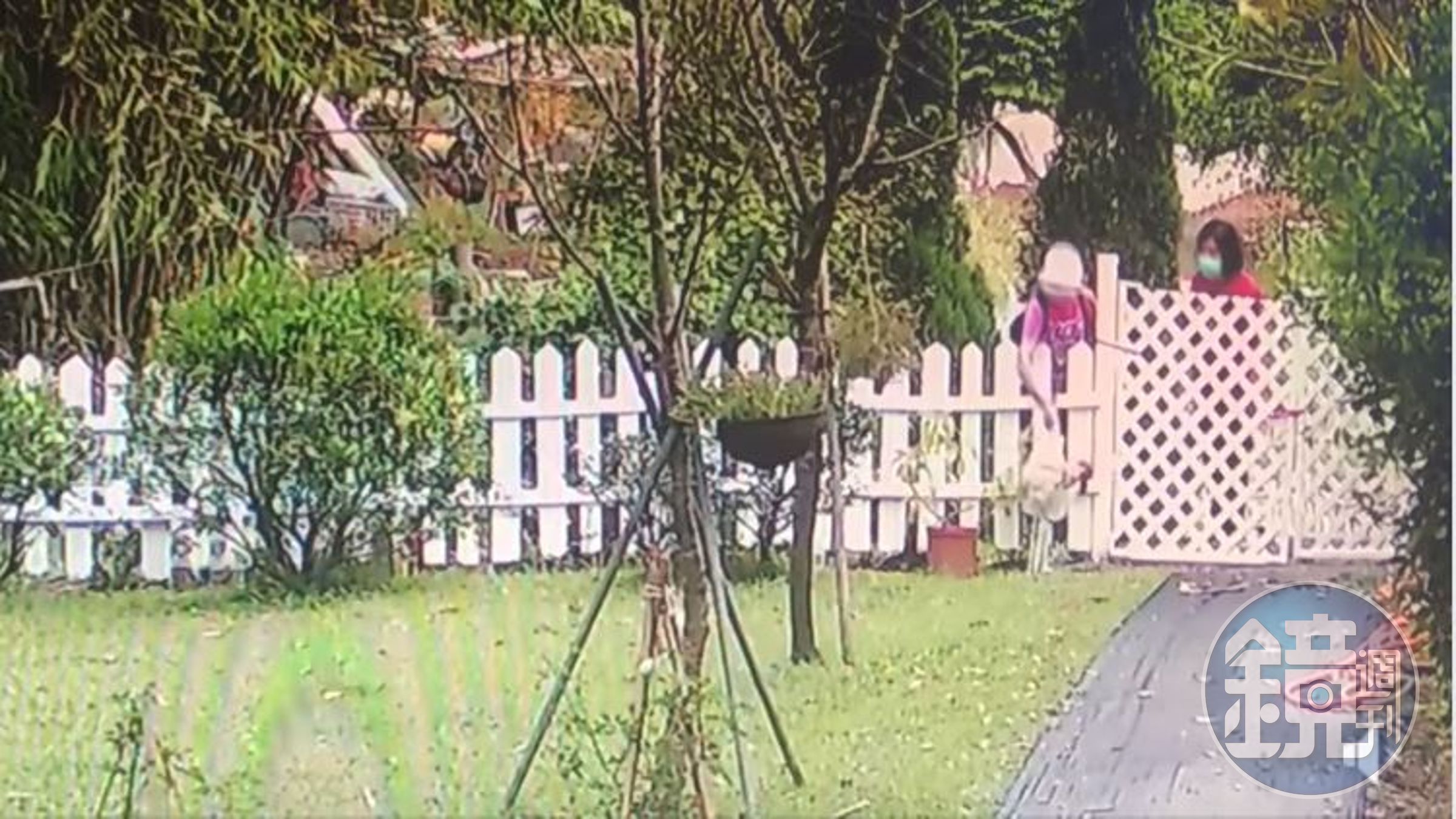 女網友家裡被丟了2隻活雞，有人指出「這是詛咒」要屋主小心。（翻攝自我是東湖人社團）