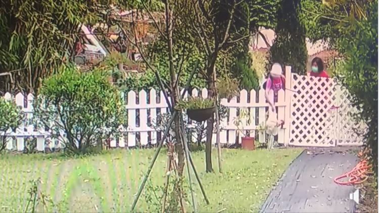 女網友家裡被丟了2隻活雞，有人指出「這是詛咒」要屋主小心。（翻攝自我是東湖人社團）