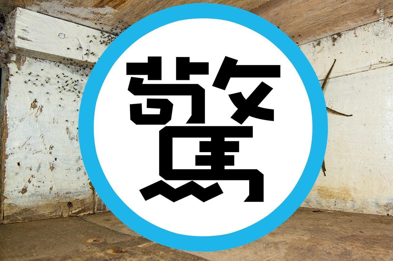 攝影師懷森藉著2次捕捉蜘蛛的瞬間,贏得野生動物攝影師大賽2項大獎。(翻攝自臉書Royal Ontario Museum)