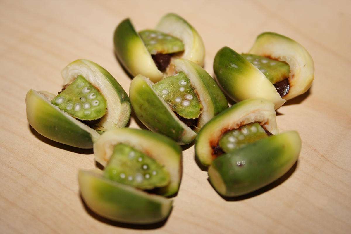 人妻自爆出軌老公的同事，但小王很愛吃檳榔，每次愛愛完私處都回有味道。（翻攝維基百科）