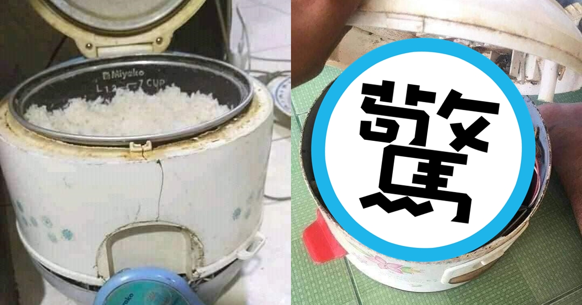 一名網友分享飯鍋內的盛況，讓不少人大呼噁心。（翻攝自爆廢公社公開版臉書）