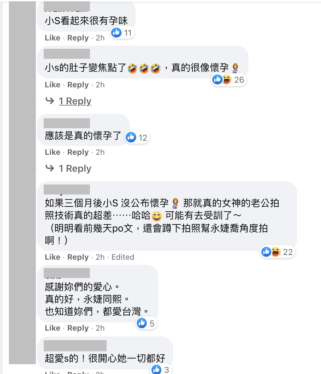 網友們紛紛猜測小S是不是懷孕了。（翻攝賈永婕臉書）