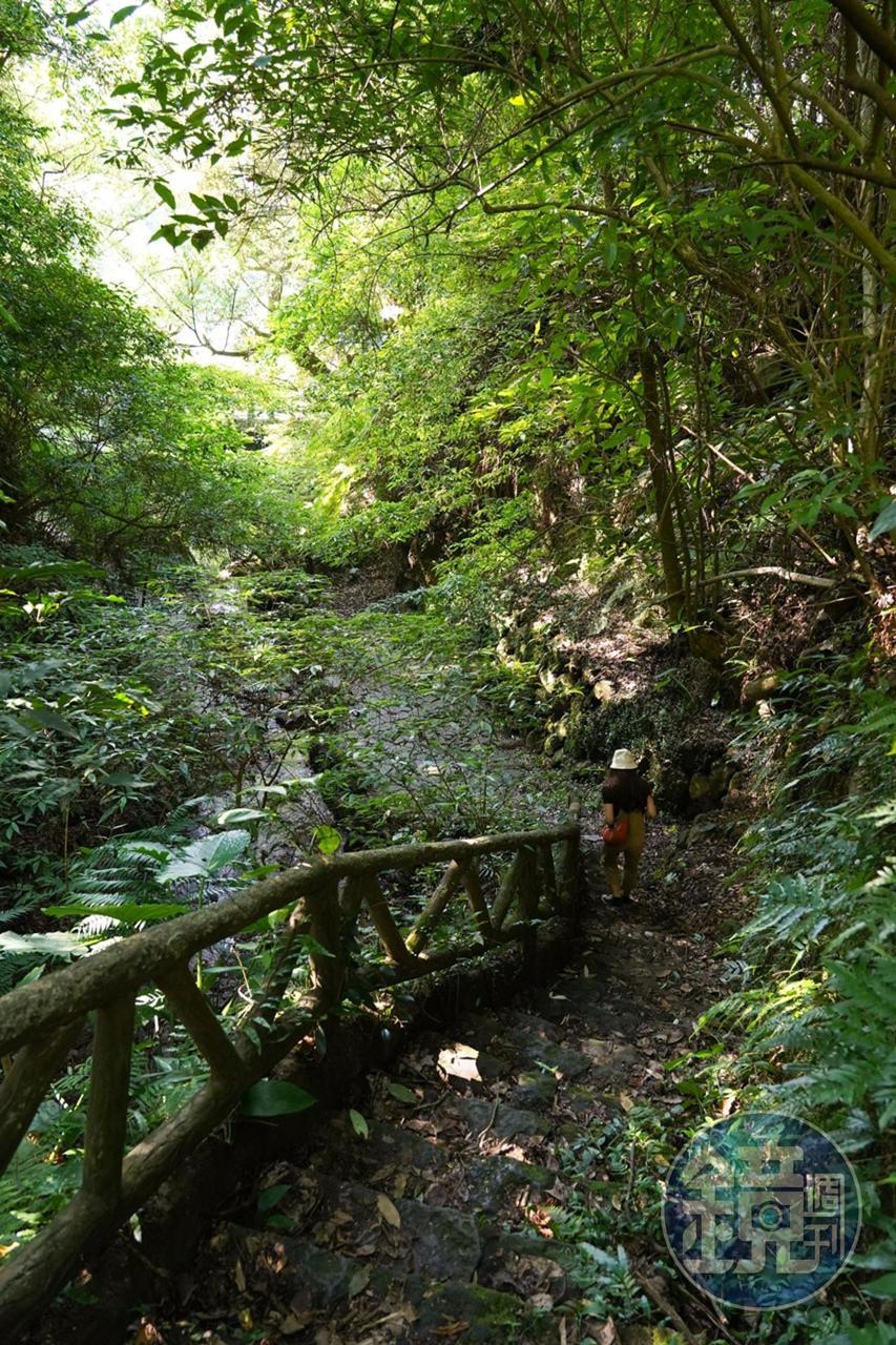 無需跋山涉水，只要走過步道，步行5分鐘就能聽見潺潺流水聲。 
