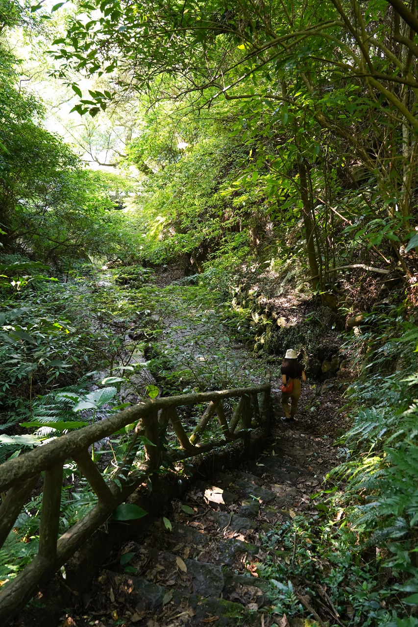 無需跋山涉水,只要走過步道,步行5分鐘就能聽見潺潺流水聲。