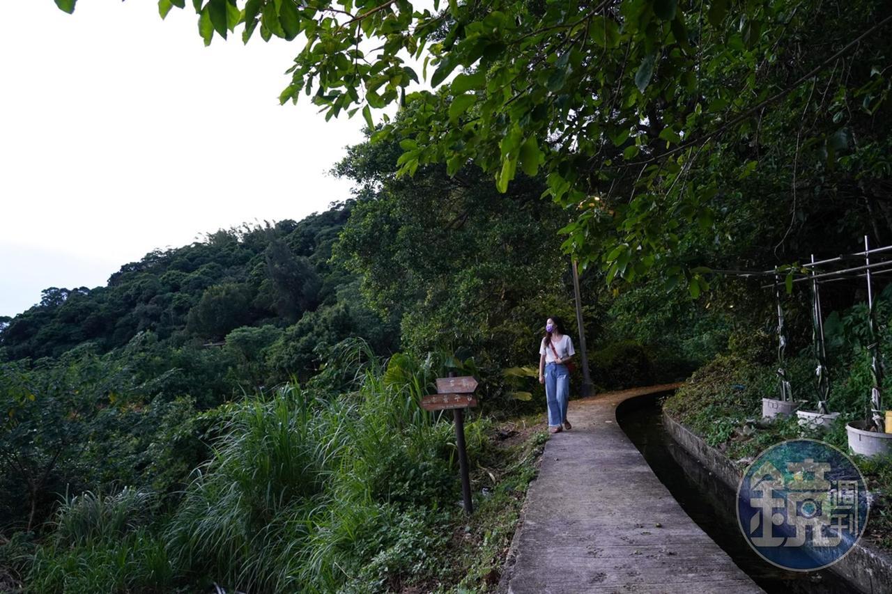 半嶺水圳步道串聯明玄宮，可通往翠峰步道。