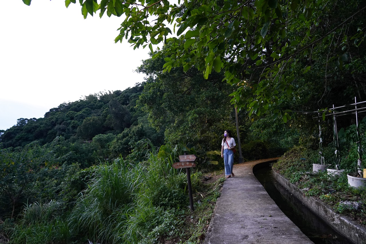 半嶺水圳步道串聯明玄宮,可通往翠峰步道。