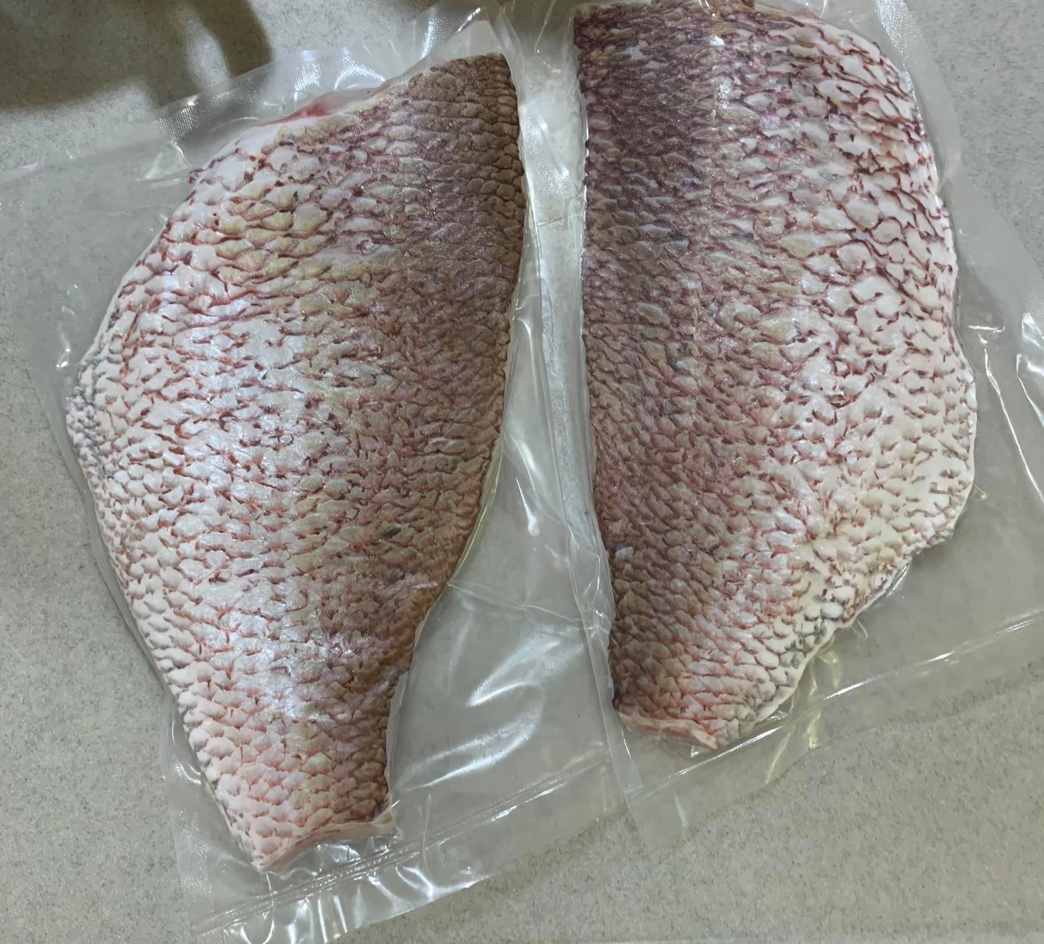 真鯛1尾取兩片肉。