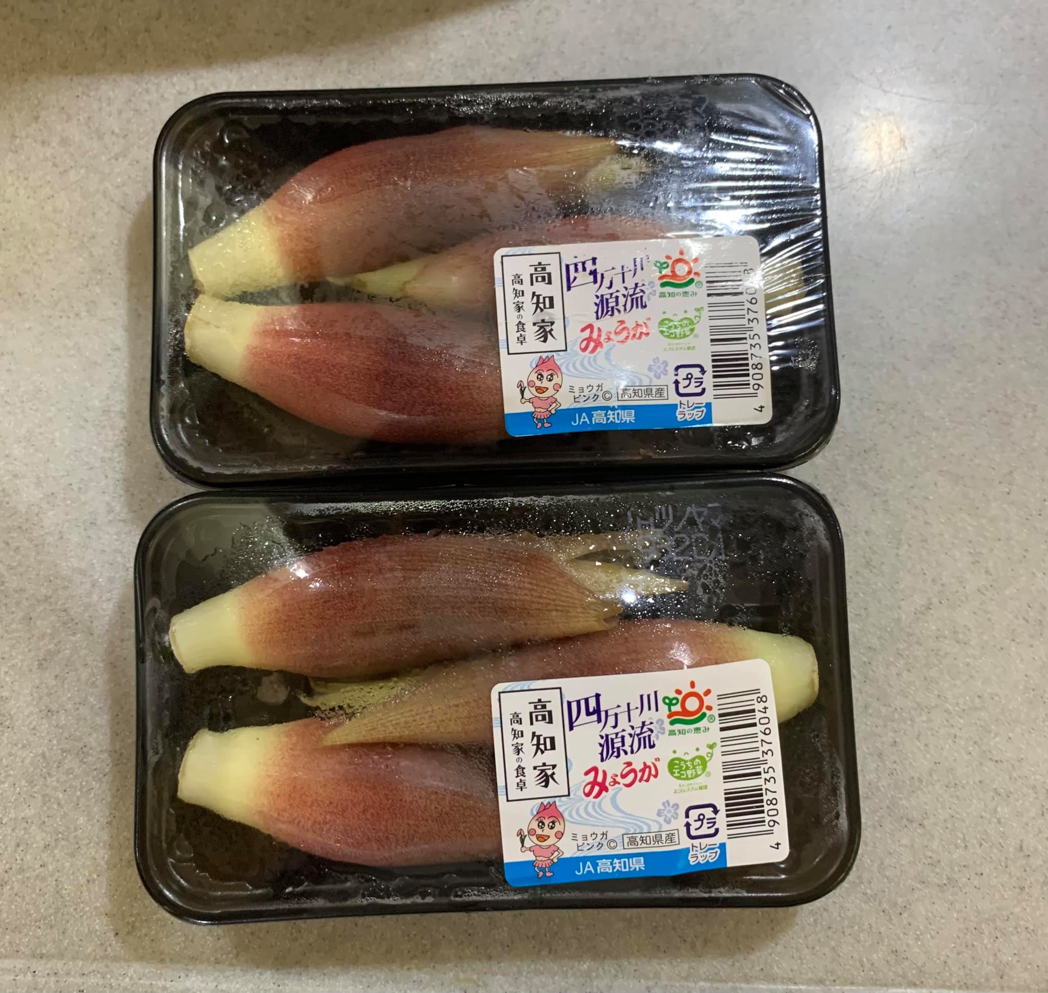 日本高知產的茗荷。