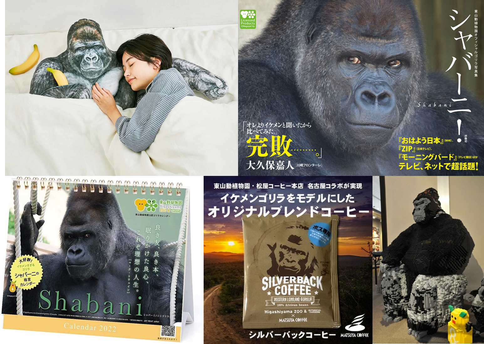 夏巴尼因帥氣的外型與姿態爆紅,出過不少周邊商品,除了寫真集外,還有男友力十足的抱枕。也因高人氣,名古屋車站曾架設牠的大型樂高模型。(圖片翻攝amazon.co.jp/《東山動植物園》官網)