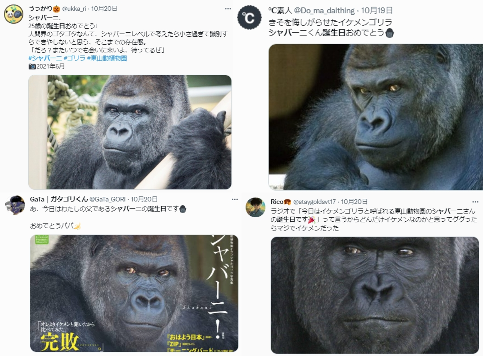 10月20日為夏巴尼的生日,推特上有許多粉絲發文慶賀,回顧夏巴尼過去的帥照。(圖片翻攝推特)