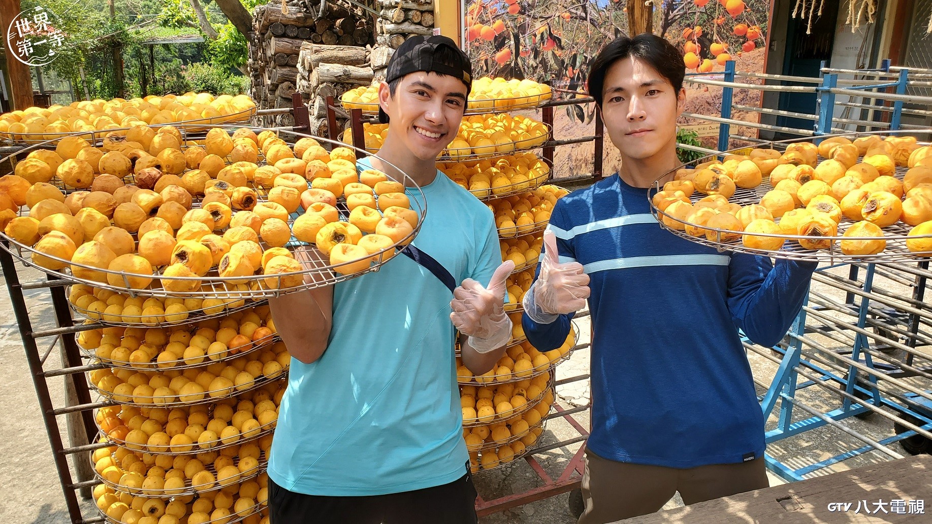 唐振剛（右）、潘君侖（左）與新竹職人學做柿餅。（八大提供）