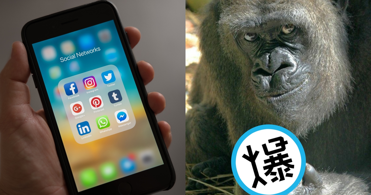 一名男大生在LINE群組傳送疫情補助惡作劇訊息，想開個玩笑，卻慘遭群組成員截圖檢舉。猩猩不雅中指已遮圖處理。（翻攝自pexels、網路圖片）