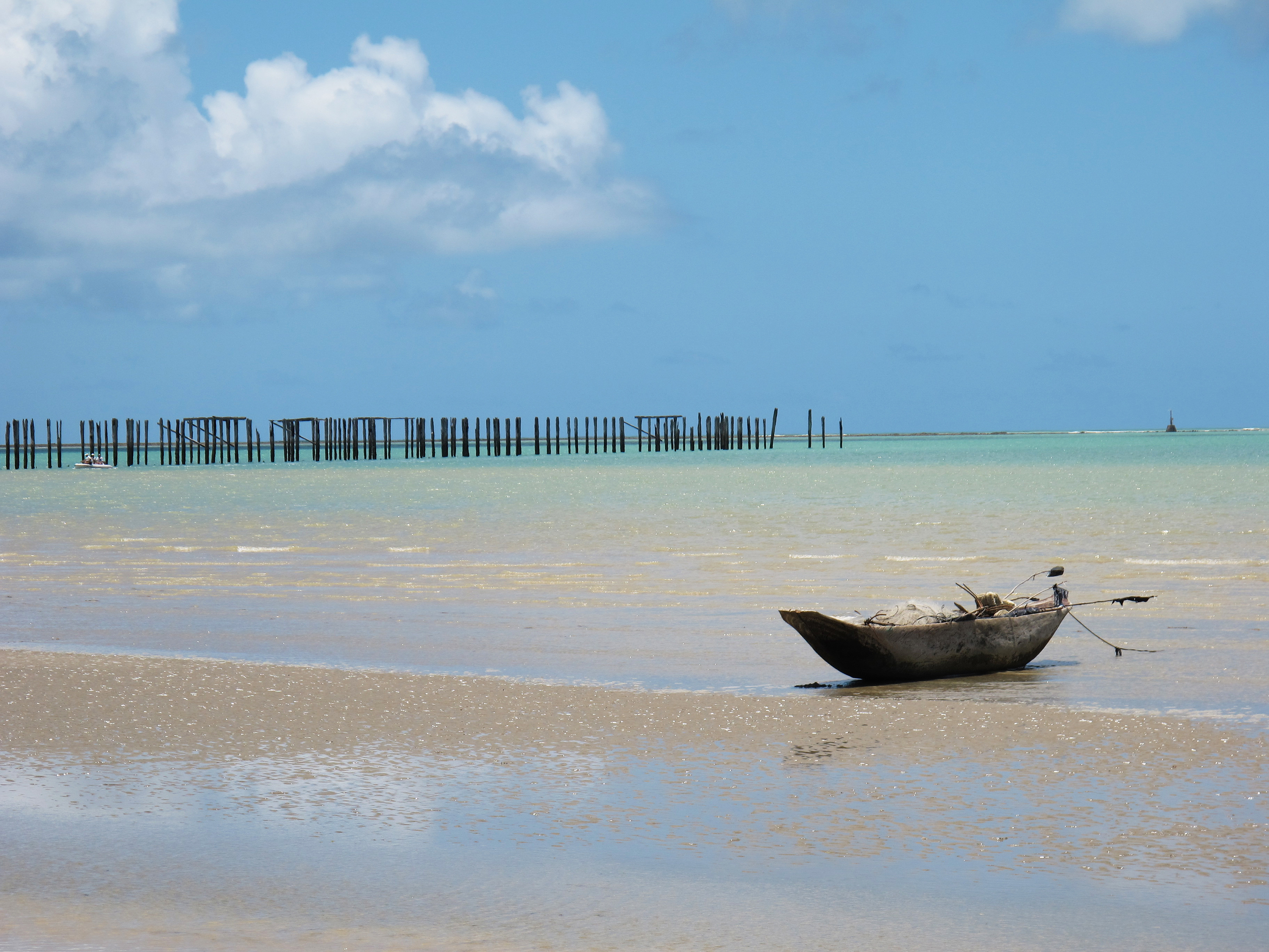 【詩】沙洲在看著透視法　譚洋