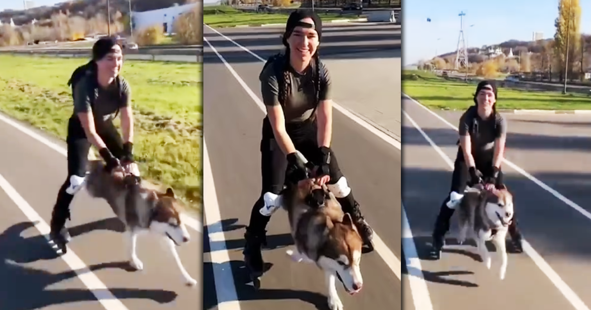 俄羅斯有位飼養哈士奇的19歲女孩，因擅長溜直排輪，日前穿著直排輪拉著狗狗，如同拉雪橇一樣由向前狂奔的哈士奇帶著往前進，遛狗的同時也被遛，影片在網路爆紅造成話題。（翻攝推特＠tyomateee）