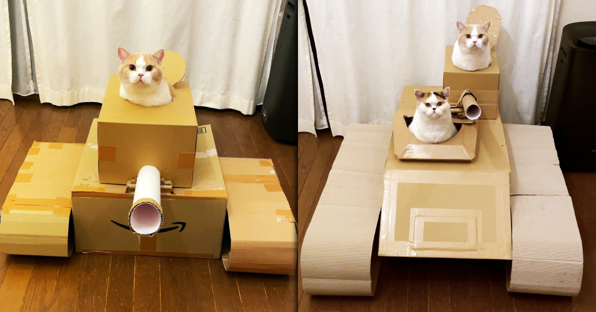 日本飼主以手遊貓咪大戰爭中貓戰車為靈感，用紙箱做出專屬戰車，在單貓版本爆紅後，再升級做出雙貓款，而貓咪配合著坐定與凌厲的眼神，被網友笑稱「要用可愛征服世界了」。（圖片翻攝推特＠jirosan77）