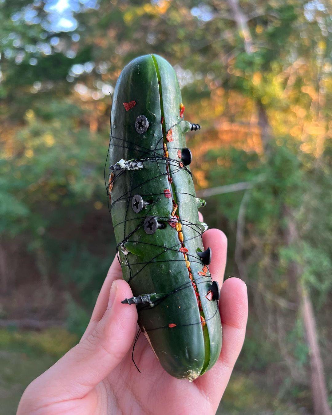 施法用的黃瓜，據悉可以對前男友的下體發出詛咒。（翻攝Kalei IG ）