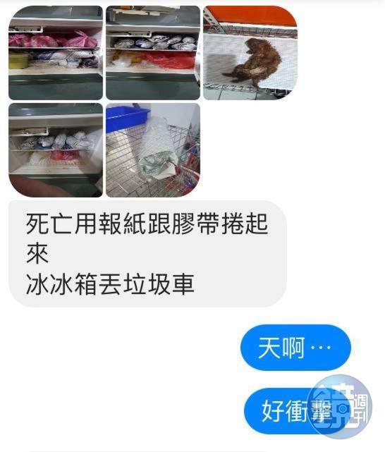 民眾向民代投訴,業者未將死亡的幼犬妥善處理。