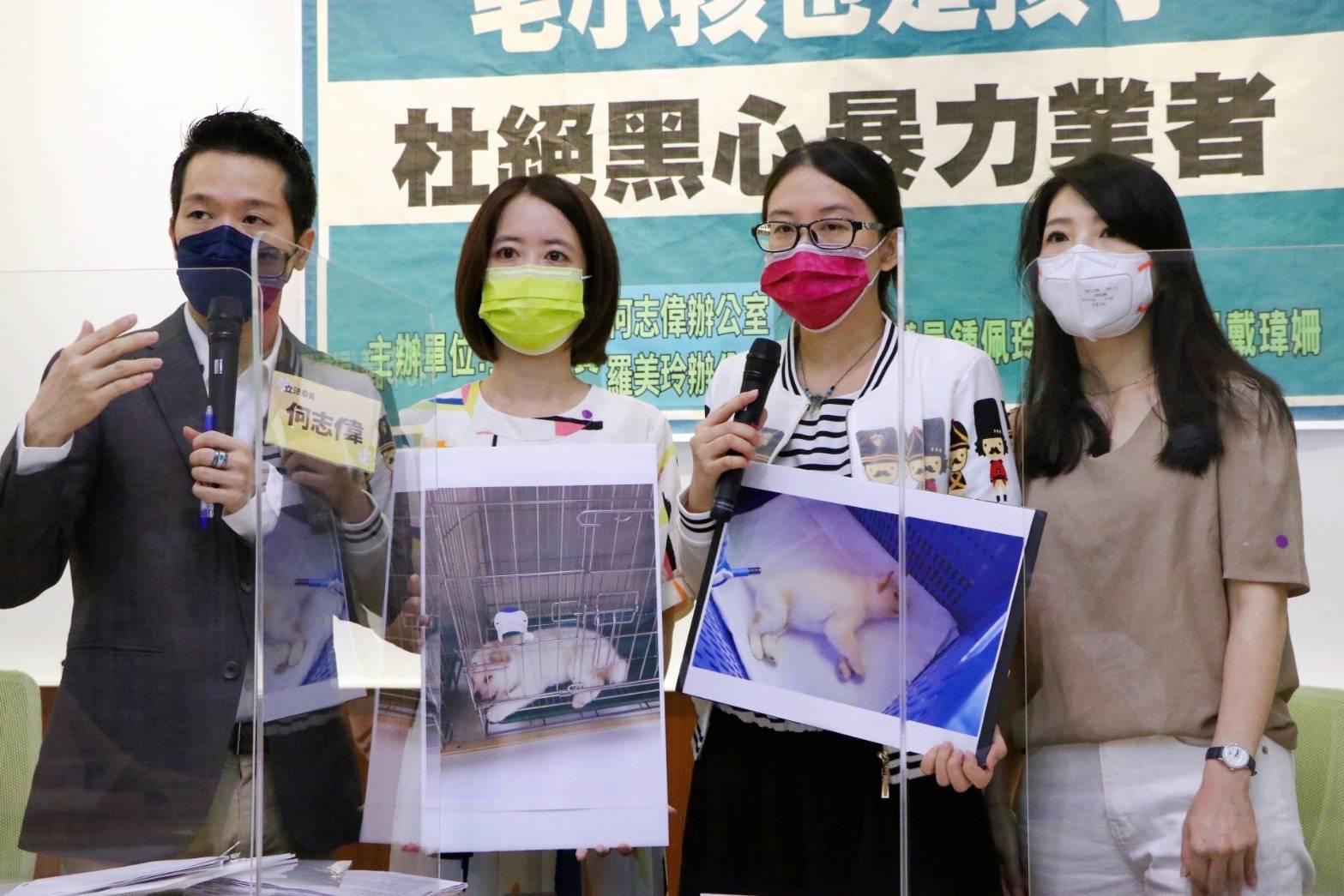 立委何志偉、新北市議員戴瑋姍等人,日前偕同買到病犬的陳情人召開記者會。(戴瑋姍服務處提供)