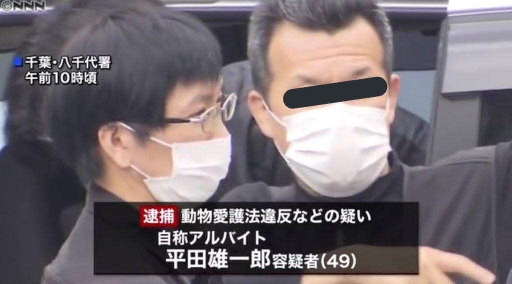 平田雄一郎因虐貓遭逮捕。（翻攝日本新聞網畫面）