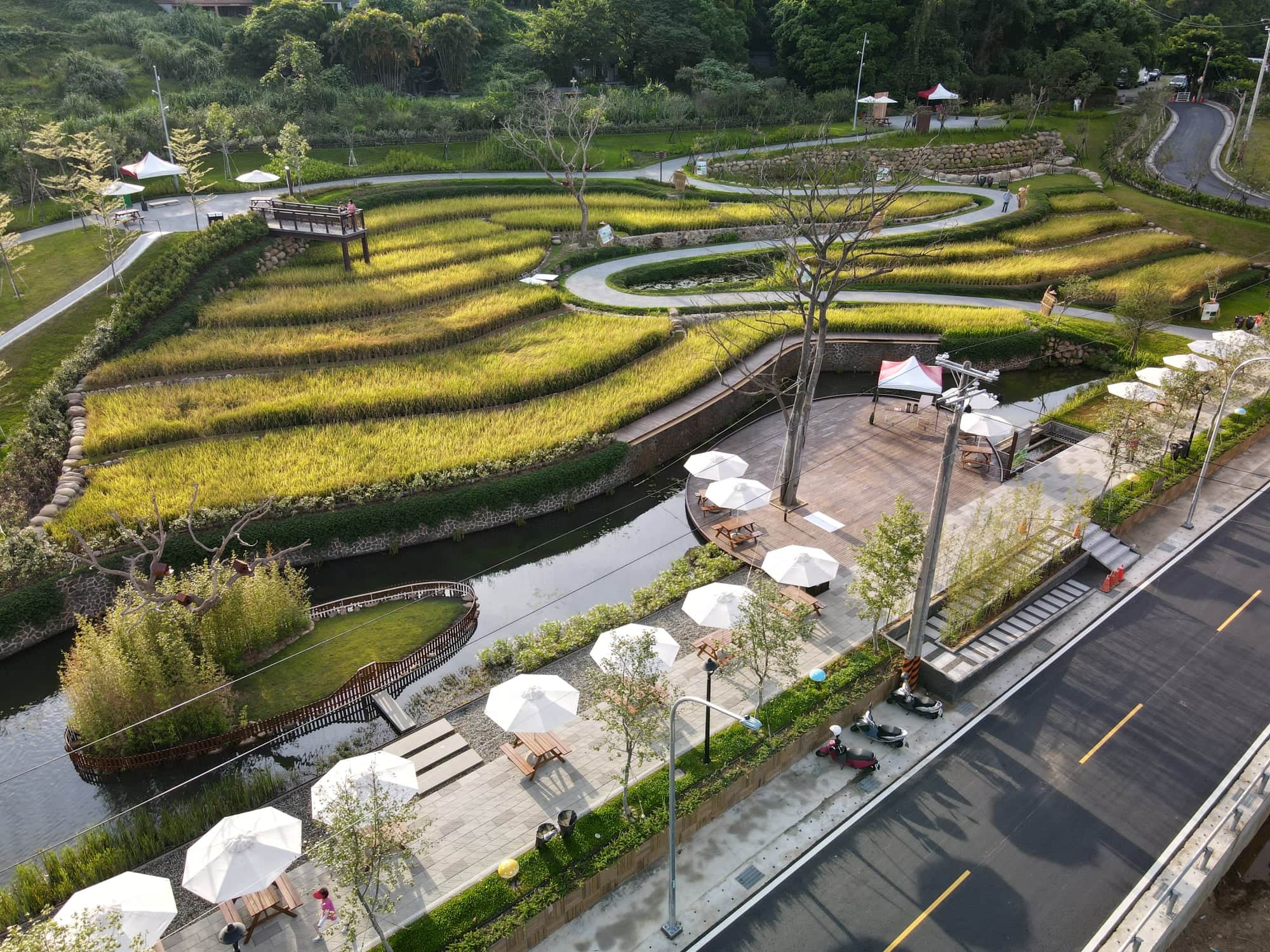 以低環境衝擊工法設計的大有梯田生態公園,復育舊有梯田生態。(桃園市政府提供)