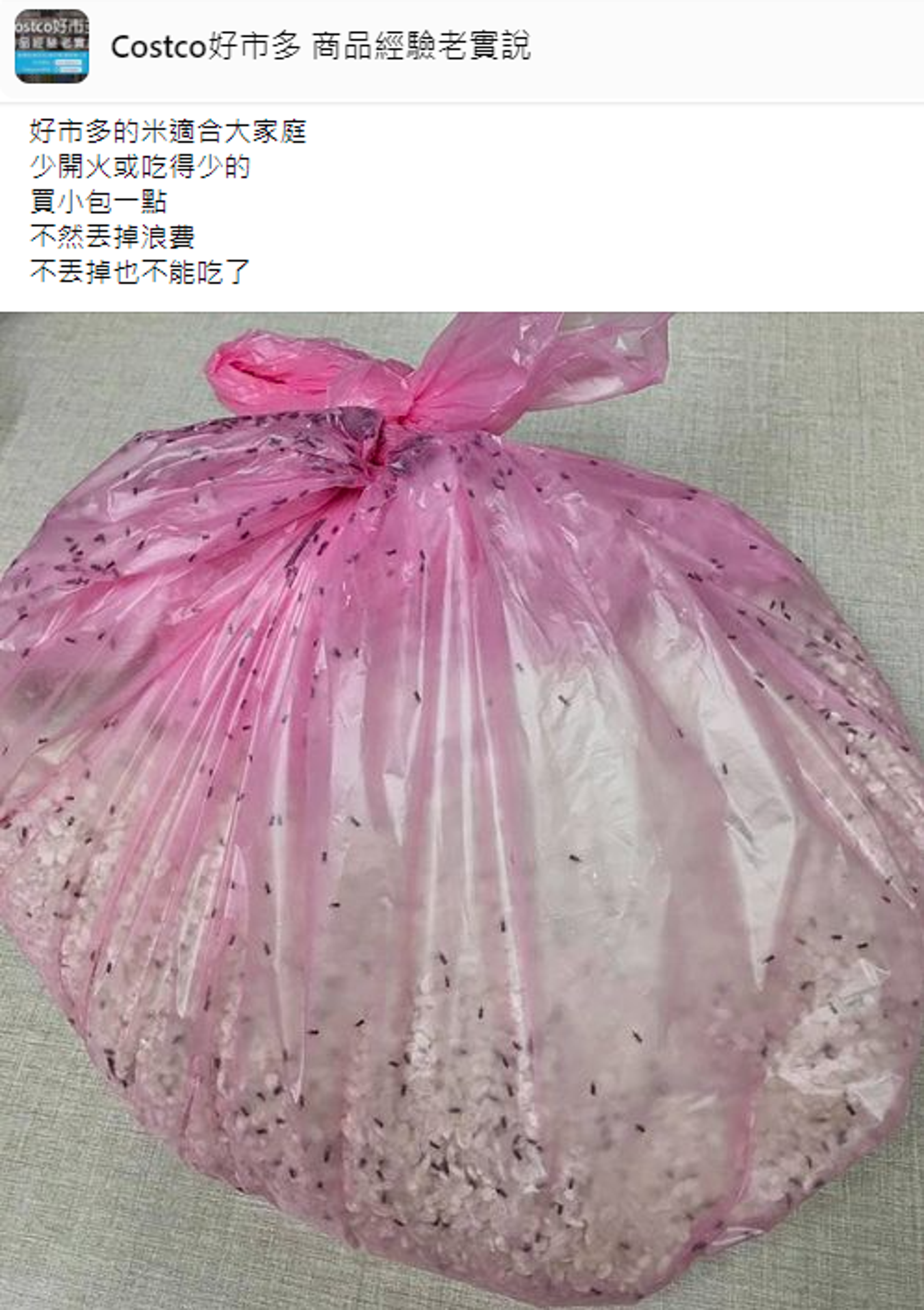 網友分享在好市多買的米太大包吃不完，長滿了米蟲。（翻攝自Costco好市多 商品經驗老實說臉書）