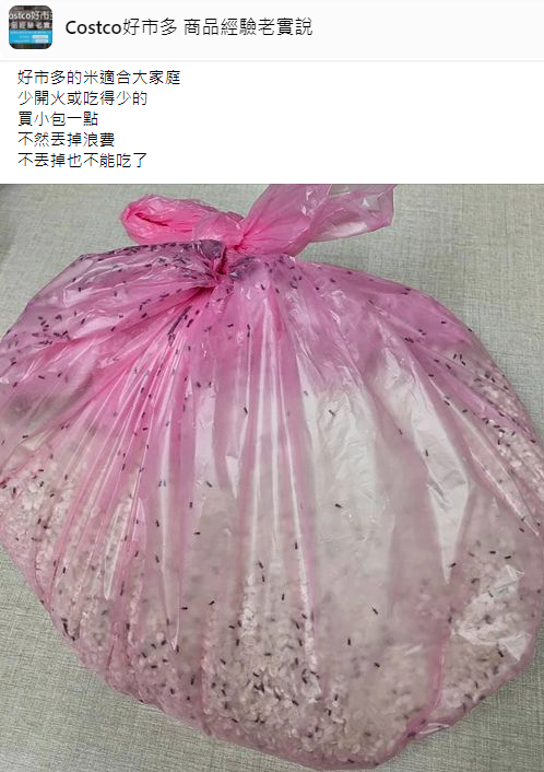 網友分享在好市多買的米太大包吃不完，長滿了米蟲。（翻攝自Costco好市多 商品經驗老實說臉書）