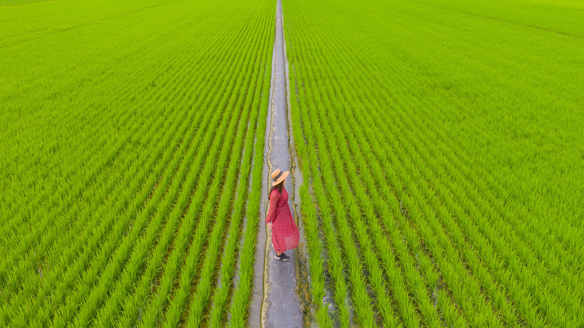 主辦單位解釋，小編收件時誤抓直式圖檔，「紅衣大女孩」的比賽檔案本該是橫幅照片。（翻攝自臉書2021我愛雲林之美）