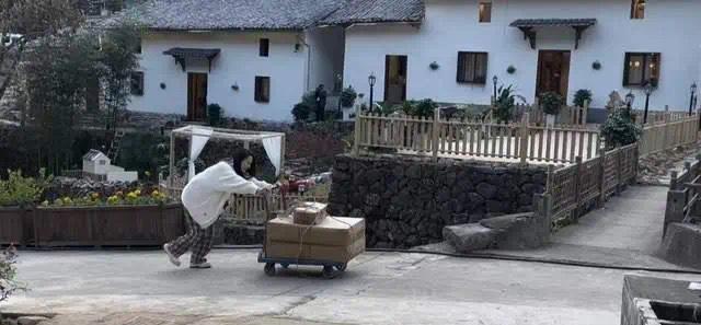 伊能靜的快遞多到要用手推車一趟趟搬運。（微博圖片）