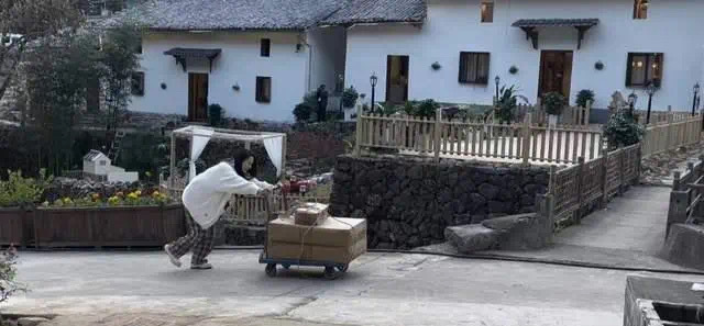 伊能靜的快遞多到要用手推車一趟趟搬運。（微博圖片）