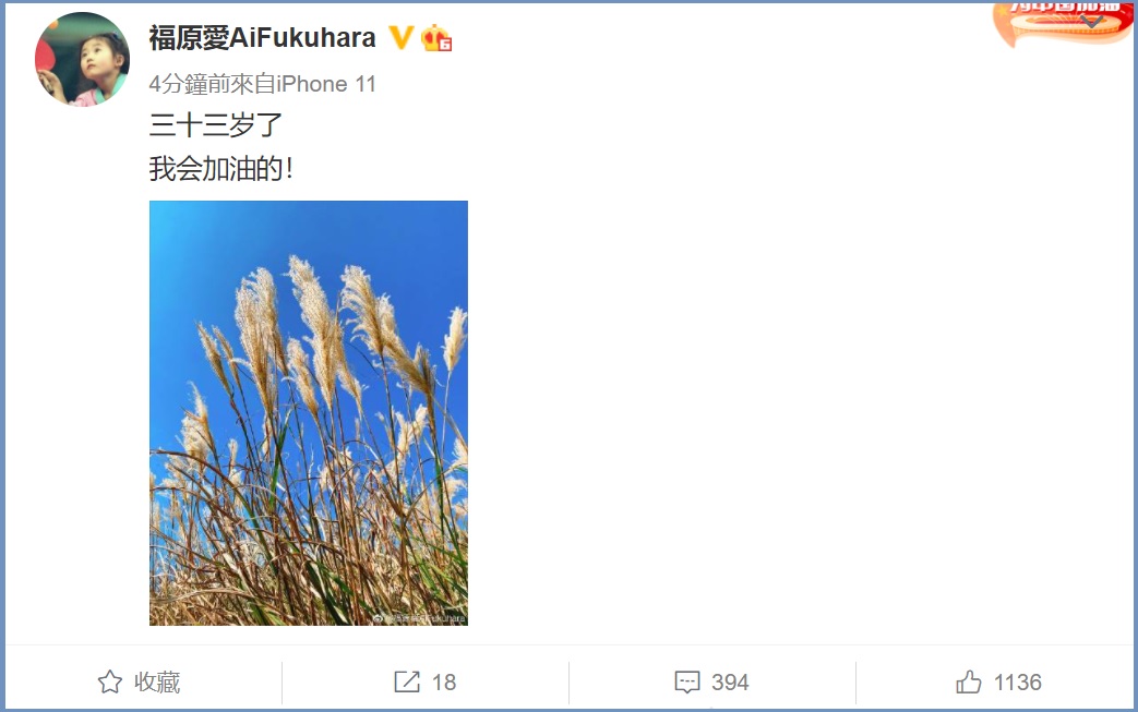 福原愛4日在微博寫在10字和一張尾草的照片。(翻攝福原愛微博)