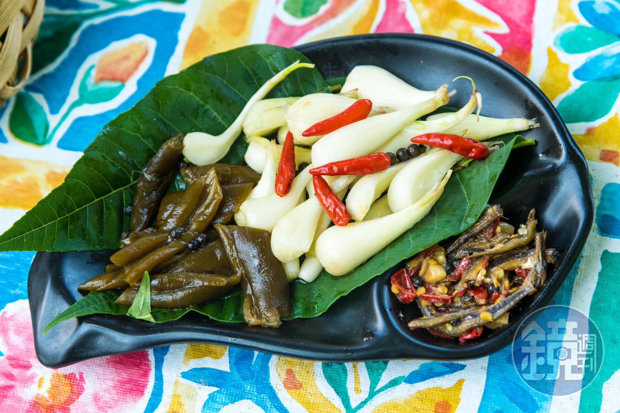 屬於太魯閣族美食的蕗蕎、馬告、剝皮辣椒、小魚乾的組合十分下飯。