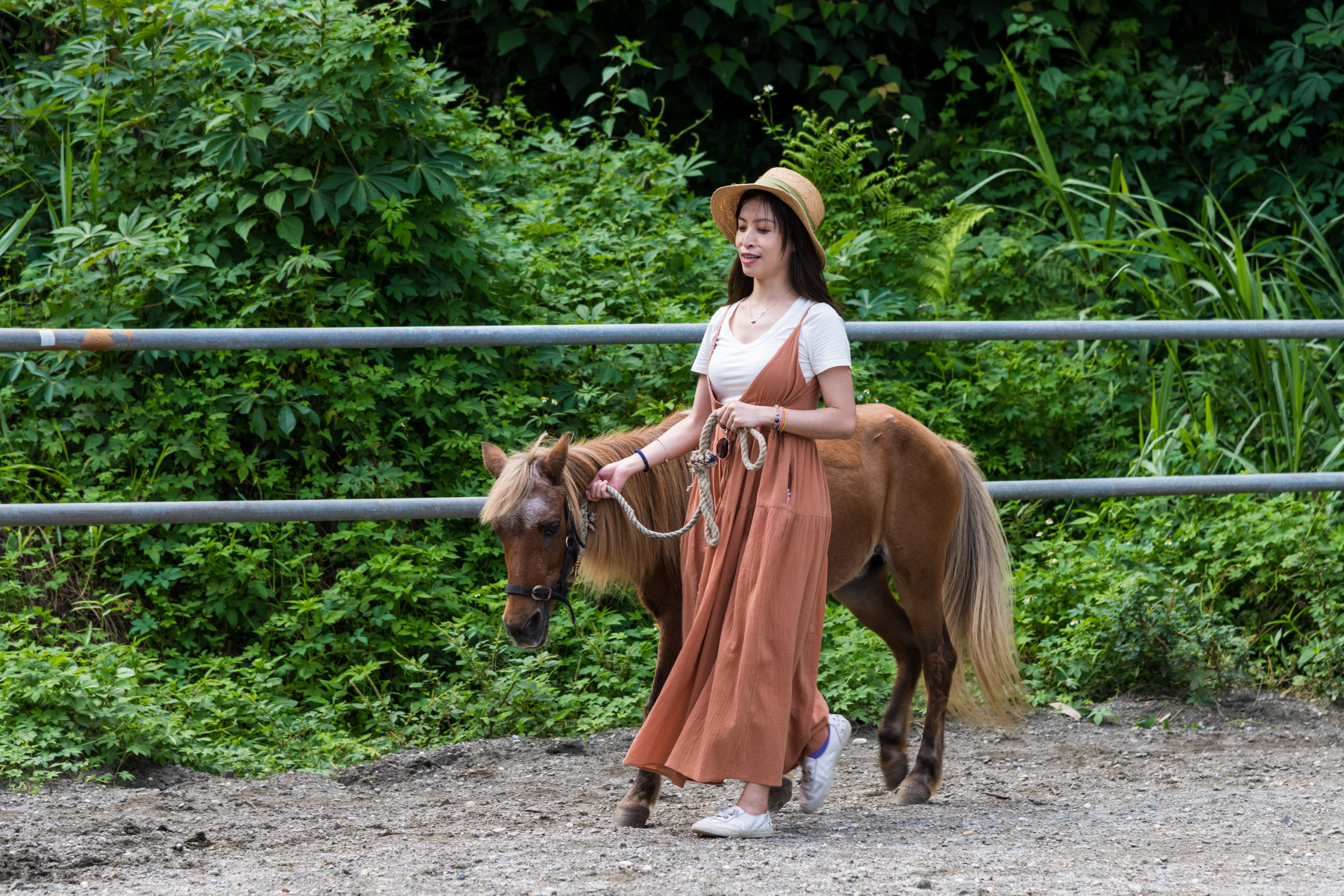 在「台灣兒童發展協會馬匹輔助教育中心」透過與馬兒互動，也能自我覺察。 