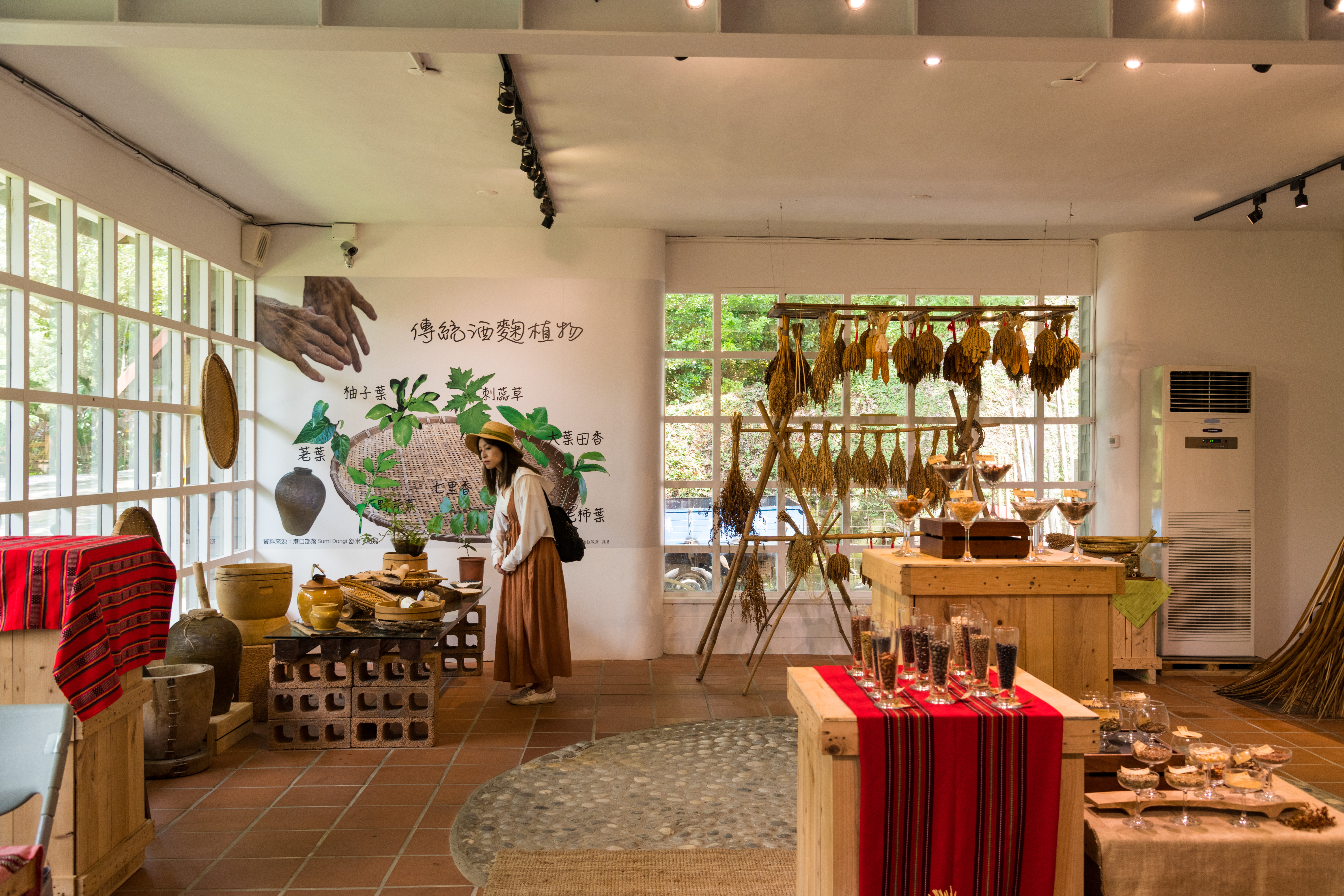 一樓空間規畫為教育和展示區域。