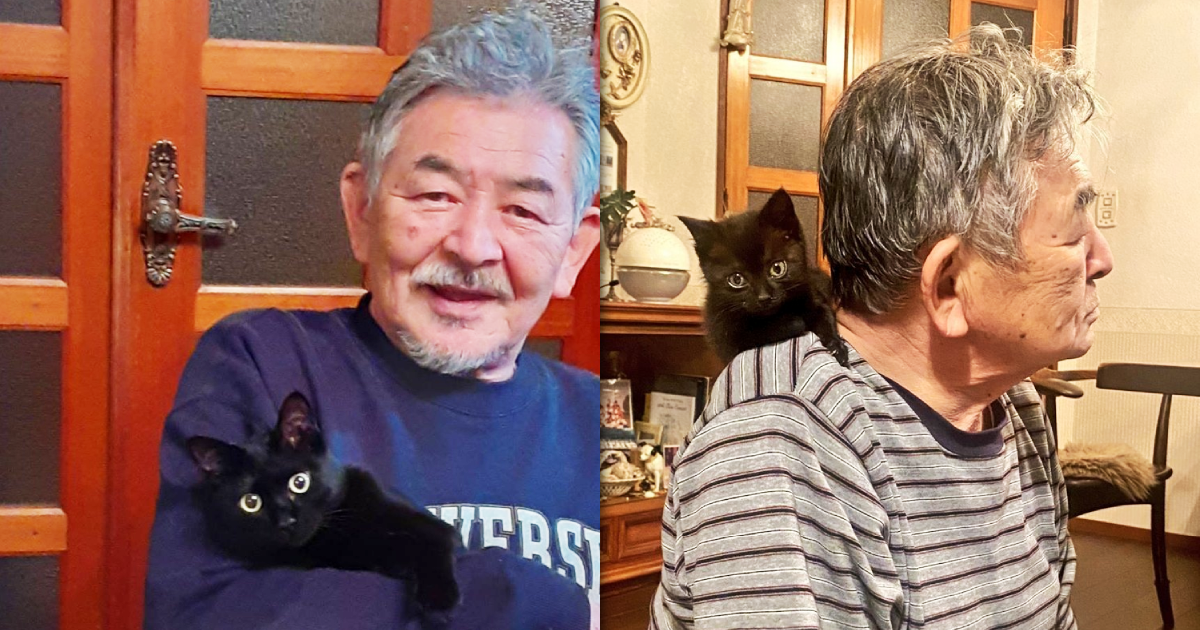 日本有位網友的爸爸,半年多前救回一隻小黑貓,他拍下成為貓奴後的爸爸(左圖)對比半年前的樣子(右圖),驚呼爸爸變年輕了。(圖片翻攝推特@turi2018)